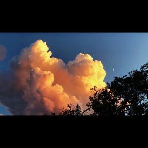 Meet your Posher, Bella